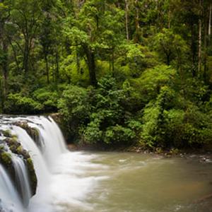 Nandroya Falls, Atherton Tableland, QLD. Photo by J&uuml;rgen Freund.